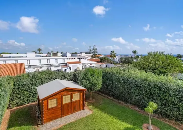 Pina 20 קאלאן בוש